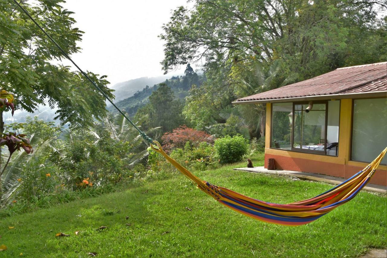 Salento Finca Hotel Mundo Nuevo Bagian luar foto