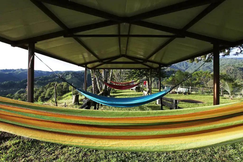 Salento Finca Hotel Mundo Nuevo Bagian luar foto